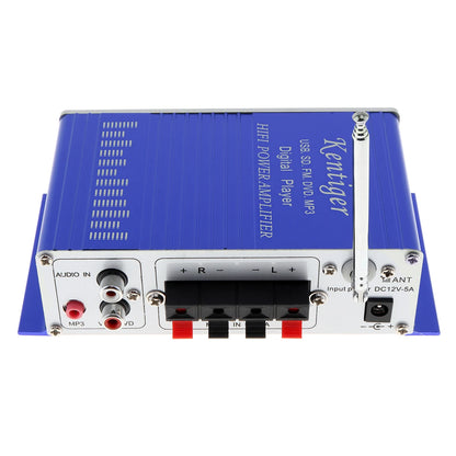 Amplificatore Hi-Fi digitale a 2 canali 12V con display LED