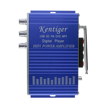 Amplificatore Hi-Fi digitale a 2 canali 12V con display LED