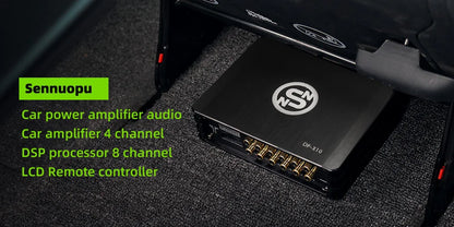 Amplificatore DSP a 4 canali e 8 canali con telecomando LCD