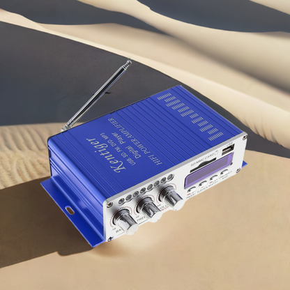 Amplificatore Hi-Fi digitale a 2 canali 12V con display LED