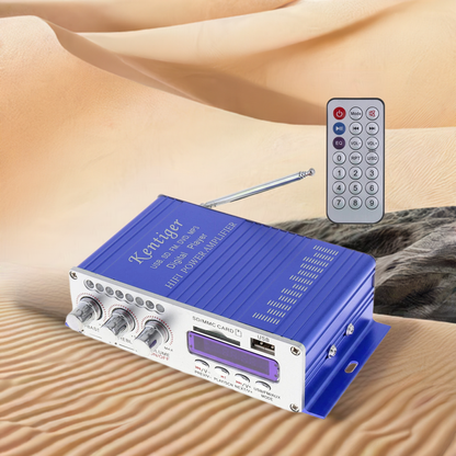 Amplificatore Hi-Fi digitale a 2 canali 12V con display LED